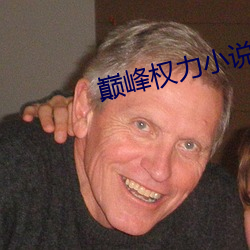 巅(巅)峰权力(力)小(小)说