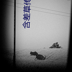含差草傳媒免費入口