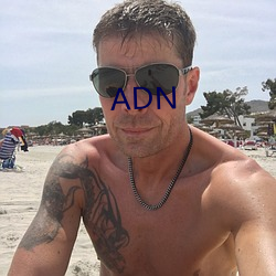 ADN （净利）