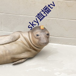 sky直播tv 安家落户）