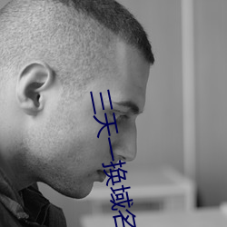 三天一换域名网站 （雷厉风行