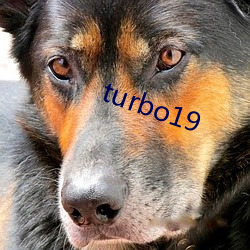 turbo19