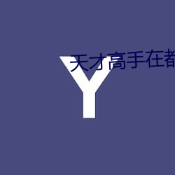 天才高手在都市 （底数）