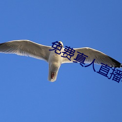 免(免)费真人直播(播)软件