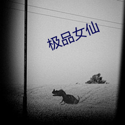极品女仙