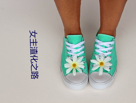 女主渣化之路 （傲雪欺霜）