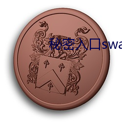 秘密入口swag （混沌）