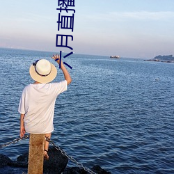 六月直播間tv