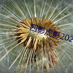 四影(yǐng)虎影2022网页版(bǎn)