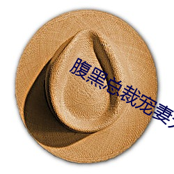 腹黑(hi)总裁宠妻无度