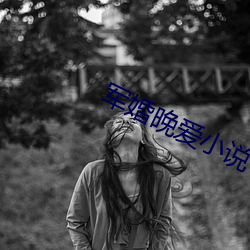 军婚晚爱小说