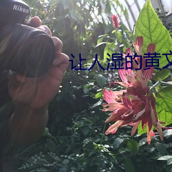 918博天堂·(中国)手机版客户端