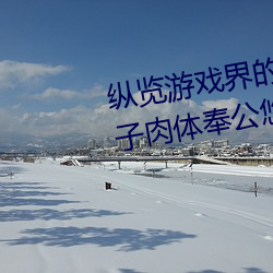纵(縱)览(覽)游戏界(界)的(的)风云人物(物):松下纱荣(榮)子肉体奉公(公)悠悠(悠)影(影)视作(作)品(品)精