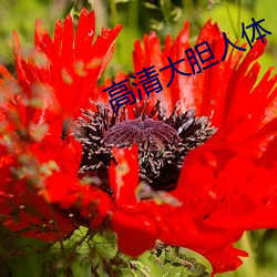 高清(清)大胆人体