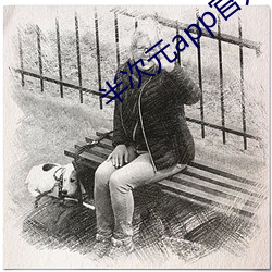 半次元app官方下載