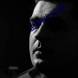 武侠小(小)说网