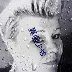 真(zhēn)假(jiǎ)少爷
