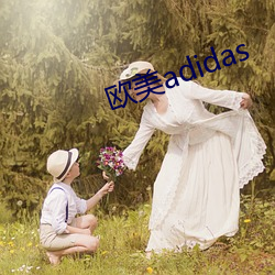 欧美adidas