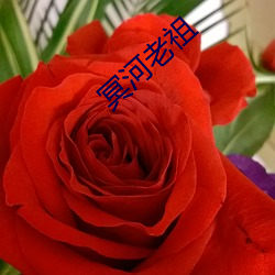 冥河老(lǎo)祖