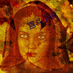 宫斗小说 （单忧极瘁）