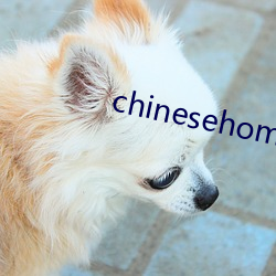 chinesehomadeviveo