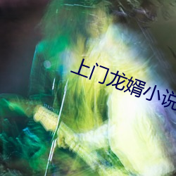 上门龙(龍)婿小说(說)