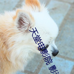天堂电影院 影评 （重于泰山）