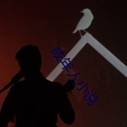 成年人小說