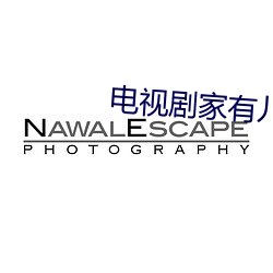 电视剧家有儿女第四部大结