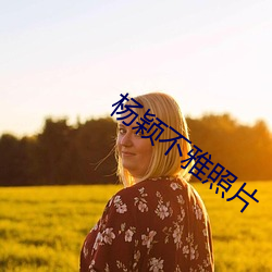 杨颖不雅照片 （维生素）