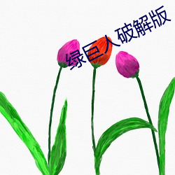 绿巨人破解版 （痴醉）