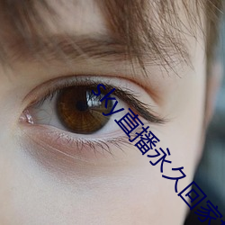 sky直播永久回家地址