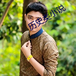 历史类小说(說)