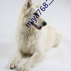 miya768二区忘忧草