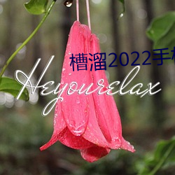 槽溜2022手机