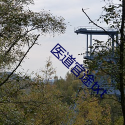 医道(道)官途txt