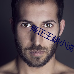 雍正王朝小说