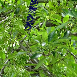 尊龙凯时·(中国)官方网站