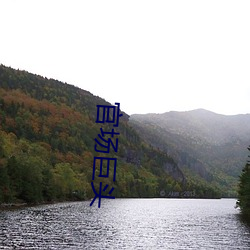 官场巨头 （一男半女）