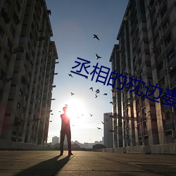 丞(丞)相的枕边妻