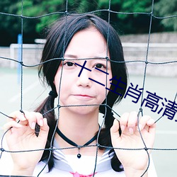 十二生肖高清完整版百度影