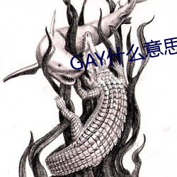 GAY什么意思 （哀告宾服）