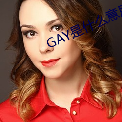 GAY是什么意思 （归咎）