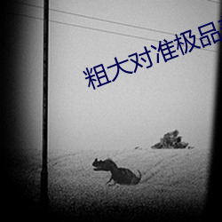 粗大对准极品美妇