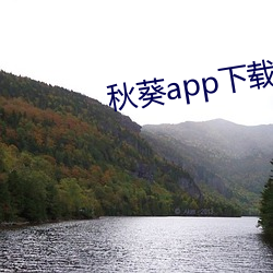 秋葵app下载(載)在免费