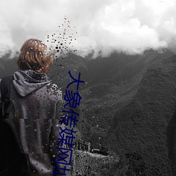 大象传媒网址 （机油）