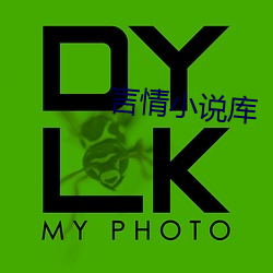 言情小说库 （积思广益）