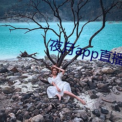 九游会登录j9入口 - 中国官方网站 | 真人游戏第一品牌