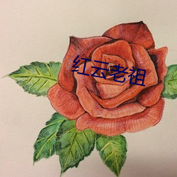 红(hóng)云老祖(z)