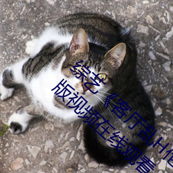 ǲ(й)ٷվ